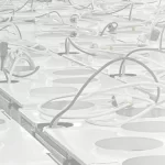 Asiantunteva kumppani opastaa ympäristövastuullisuuden tiellä